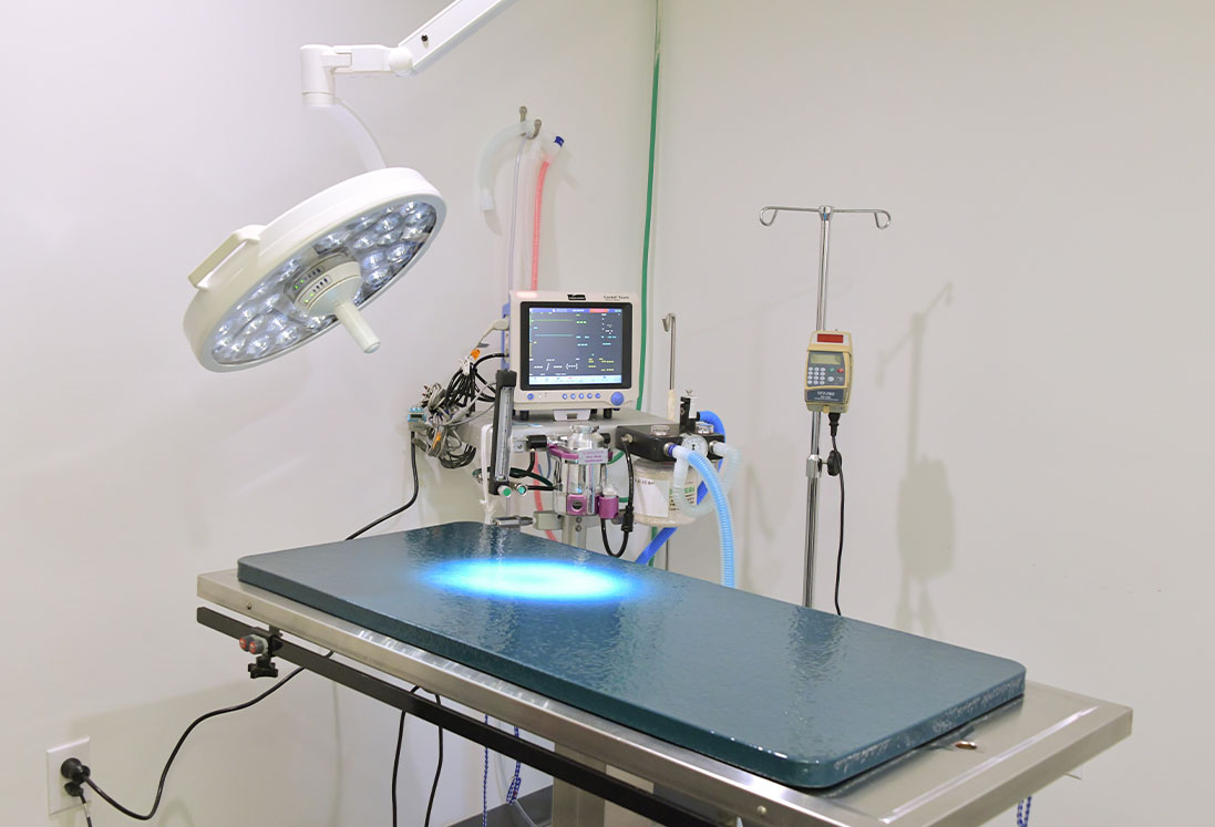 A modern veterinary clinic operating room in Houston featuring a surgical table under an overhead lamp, with medical equipment including monitors and an IV stand.