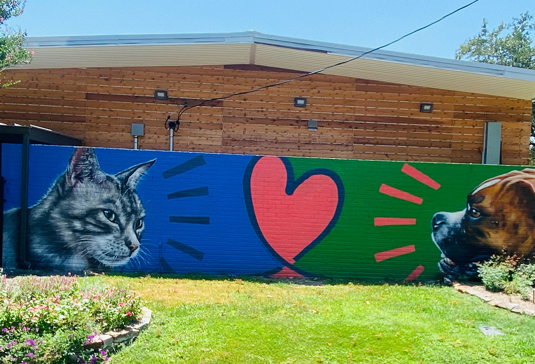 A vibrant mural on a building wall featuring a large painted image of a cat and a dog facing a bright red heart, symbolizing veterinary care in Houston, with beams in blue and green extending from the