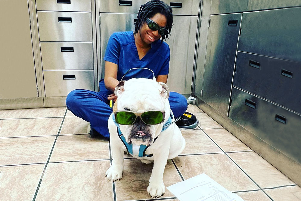 A veterinarian in blue scrubs smiles while sitting on a clinic floor next to a white bulldog wearing green sunglasses. Stainless steel cabinets are in the background, stocked with supplies for advanced veterinary care.