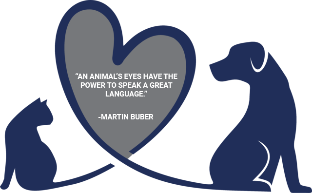 Memorial Villages Animal Hospital veterinary team in Houston, TX dedicated to compassionate pet care